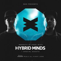 Hybrid Minds